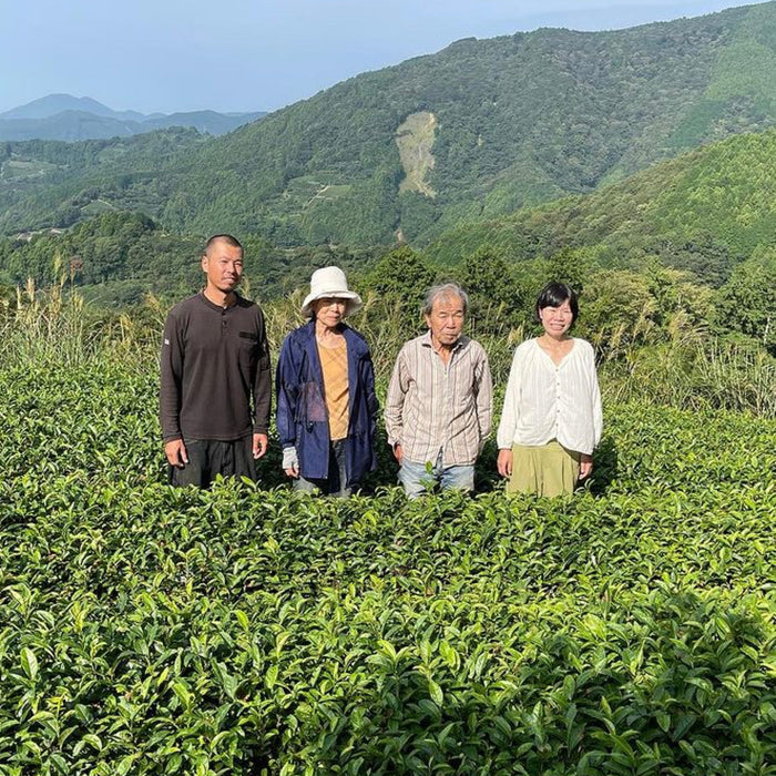 #0956.S5 NaturaliTea: Naturally Grown Takisawa Matcha 無農薬 滝沢抹茶 - Culinary Grade