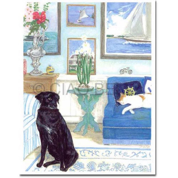 A black dog sits on a blue and white rug, while a white and orange cat naps on a blue chair. Nautical art, flowers, and the CIAO BELLA - ADMIRAL CARD by CIAO BELLA with its envelope decorate the bright, cozy room.