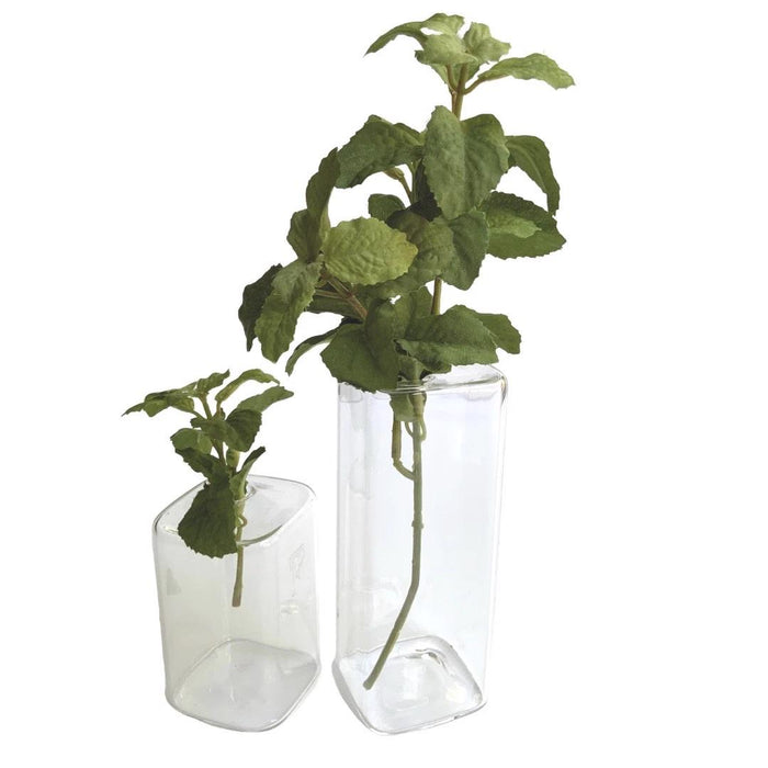A single green air plant sits at an angle inside the CHIVE FEARRINGTON SIGNATURE COLLECTION - LARGE CUBE VASE, a sleek clear vessel, set against a plain white background.