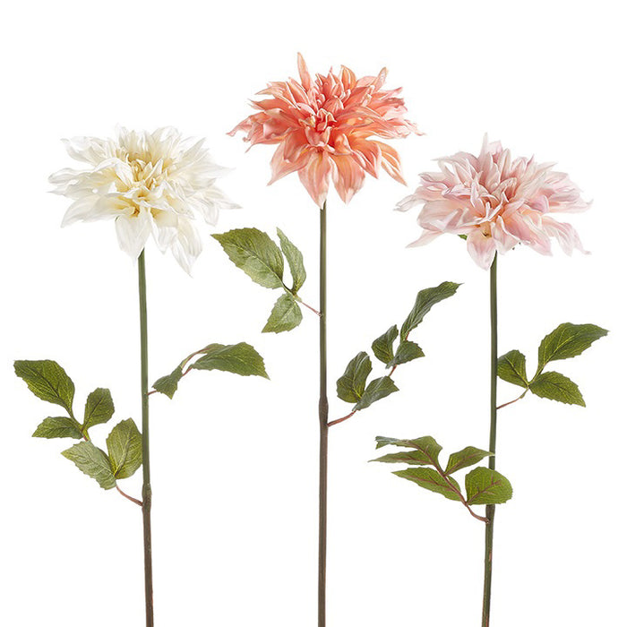 The RAZ IMPORTS REAL TOUCH DAHLIA STEM set includes three 24-inch artificial dahlias with green leaves, featuring white, peach, and light pink blooms; foam/polyester decor. In-store pickup only. Displayed on a plain white background.