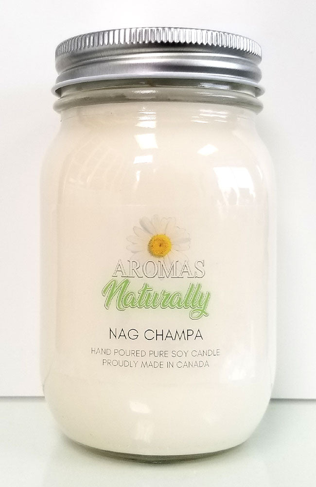 Serendipity Soy Wax Candle - Nag Champa