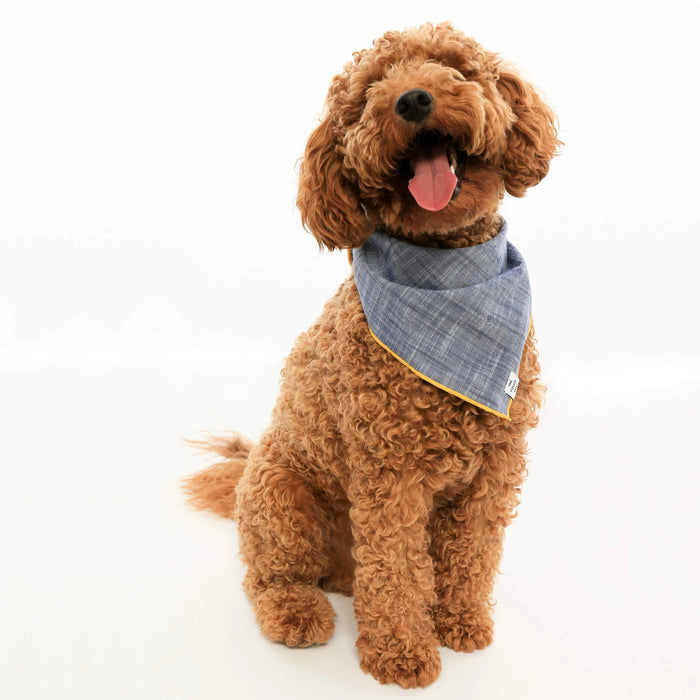 A blue and white plaid BANDANA by THE FOGGY DOG, accented with yellow trim and tied in a top knot. It features a small white tag at the bottom corner displaying the brand name.