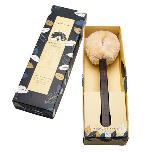 The BAUDELAIRE Beechwood 14" Sisal Dry Brush features a long, dark handle and a round, light bristle head. Packaged in a leaf-patterned box labeled "BAUDELAIRE," it's perfect for enhancing your self-care routine.