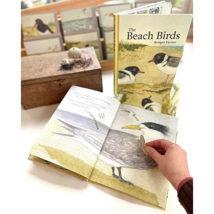 Bridget Farmer Lift-the-Flap Book - The Beach Birds