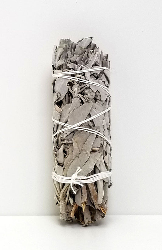 California White Sage - Medium
