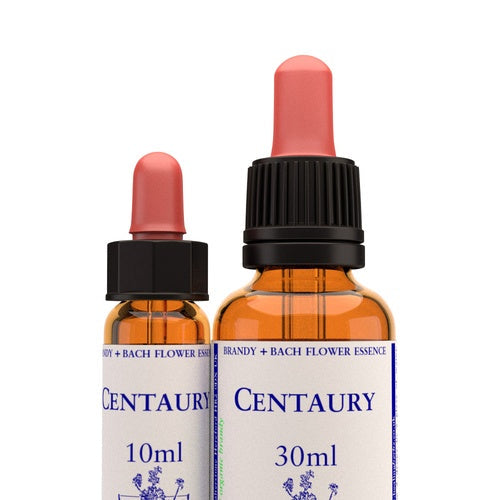 Centaury