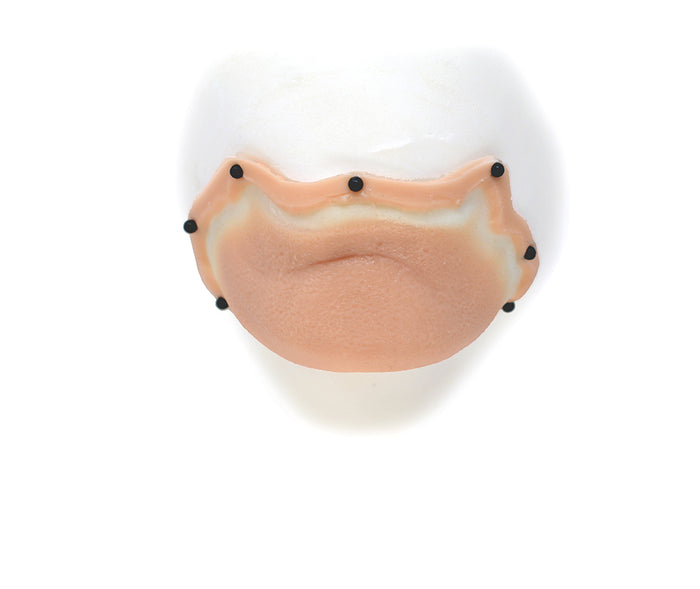 Character Chin 17