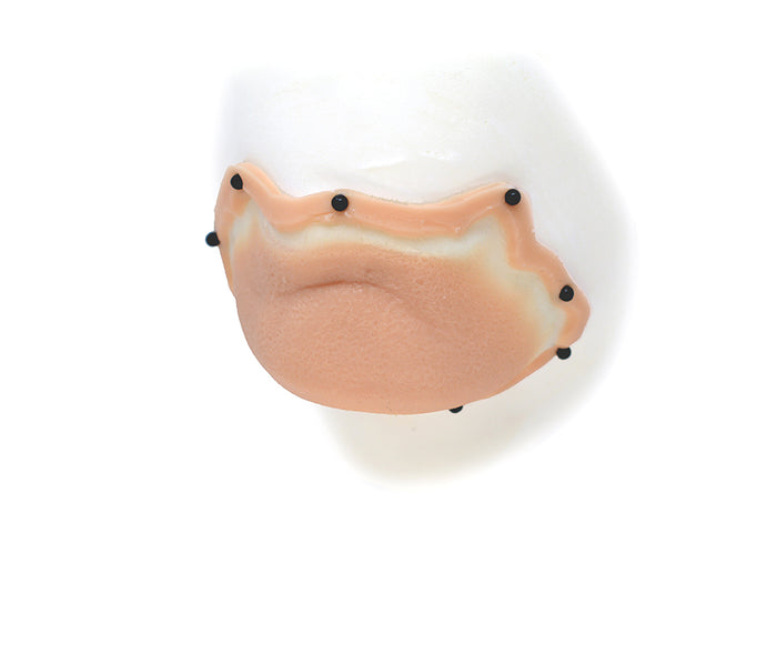 Character Chin 17