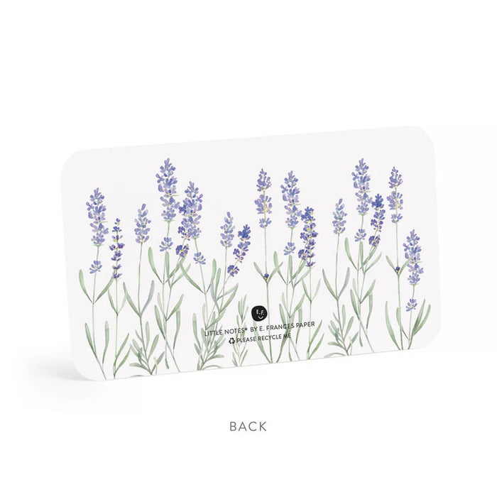 Clear plastic box with 85 tiny notecards called "E. FRANCES PAPER - LAVENDER LITTLE NOTES" featuring hand-painted watercolor lavender sprig illustrations on each white card.