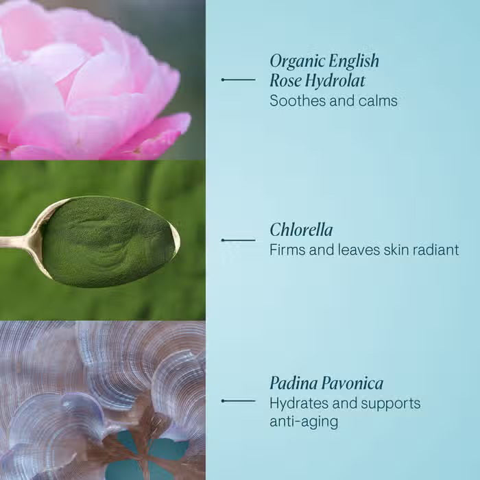 A pink frosted jar of ELEMIS - PRO-COLLAGEN ROSE MARINE CREAM by ELEMIS - STEINER sits open, revealing a swirl of light pink, rose-infused cream inside. The label reads “Hydrating day cream.”.