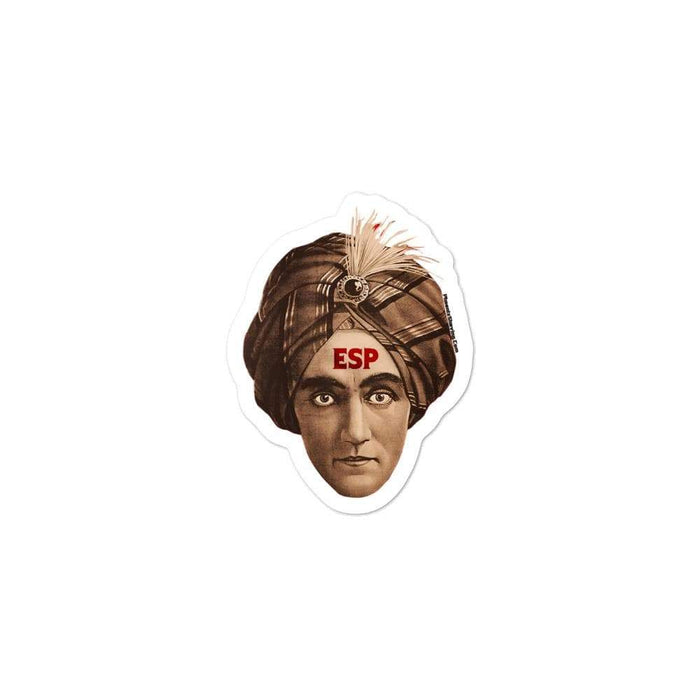 ESP BBS Vinyl Sticker | Available in 3 Sizes - Phoenix Artisan Accoutrements