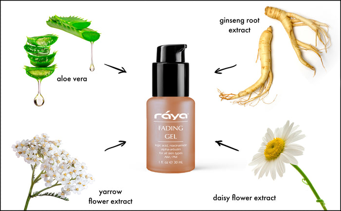 FADING GEL (322) RAYA SPA - rayaspa