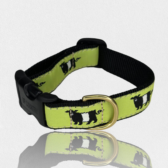The UP COUNTRY FEARRINGTON SIGNATURE COLLECTION - BESPOKE BELTIE DOG COLLAR, SMALL, features green and black padded fabric with a Beltie print, brass D-ring, black plastic buckle, and is adjustable for comfort.