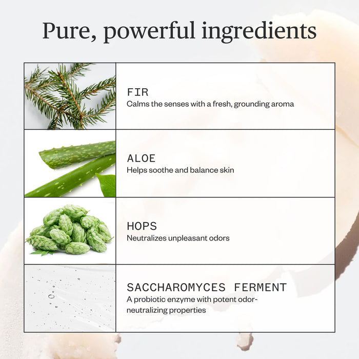 Ursa Major-Forest Fix Deodorant-Body-Forest-Fix-Deodorant-07-The Detox Market |