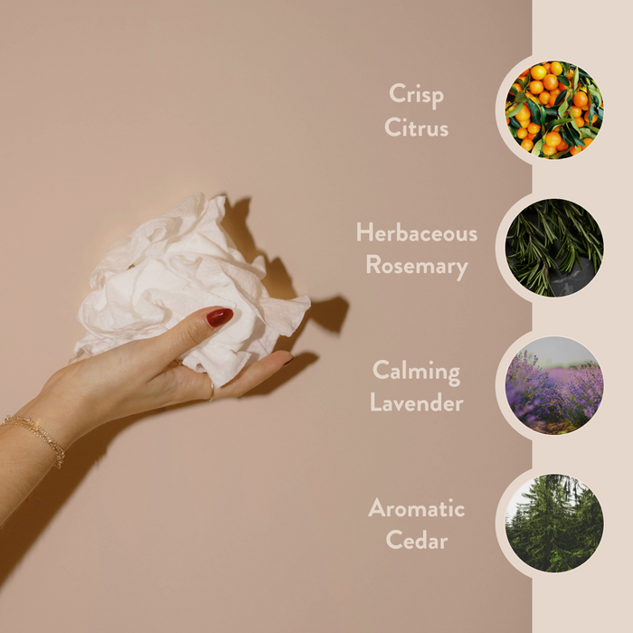 PAUME-Hand And Body Cleansing Wipes-Body-Wipes3-The Detox Market |