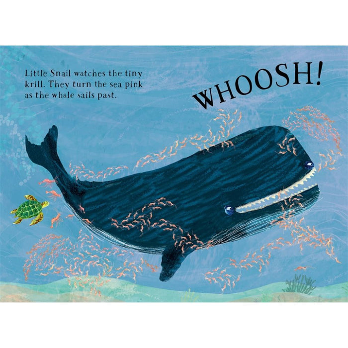 Little Turtle's Book of the Blue
