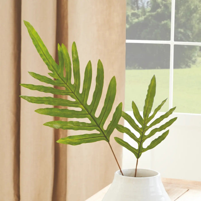 The NAPA HOME AND GARDEN - HARE'S FOOT STEM 34" features slender green ferns tied with twine against a plain backdrop, showcasing elongated leaflets in a symmetrical design.
