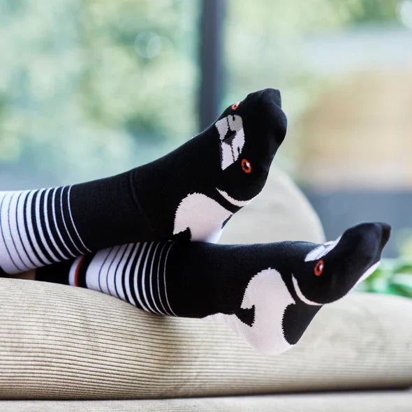 Out On The Patio Bundle - Australian Made Socks