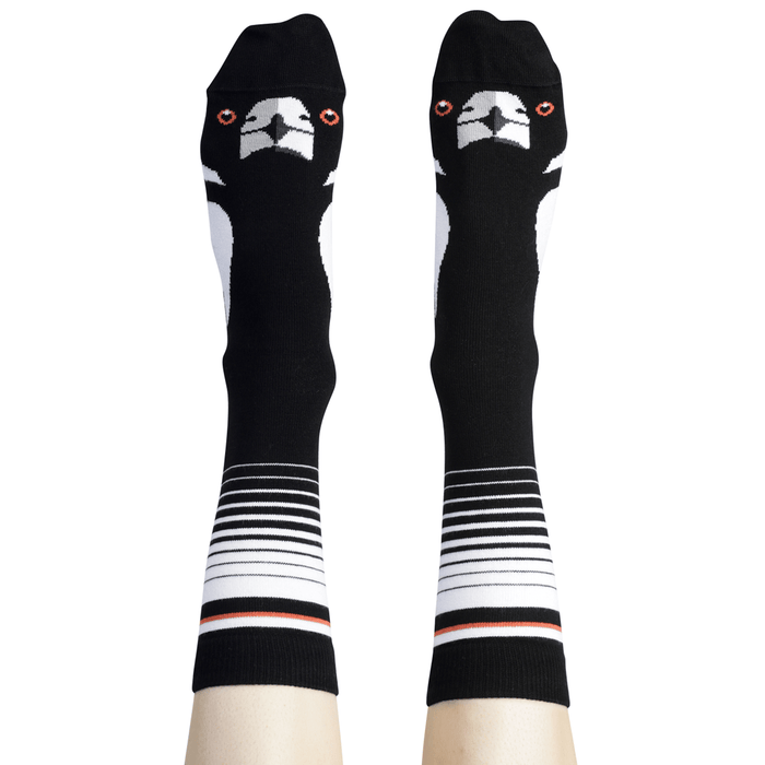 Out On The Patio Bundle - Australian Made Socks