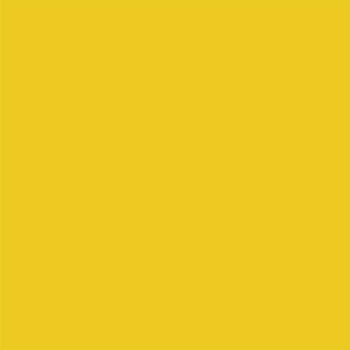 Proscope Disposable Stethoscope, Yellow, 22" - 664Y-Single - LL Medico